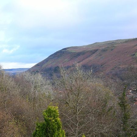 Cilbrwyn Bed & Breakfast Swansea Bagian luar foto
